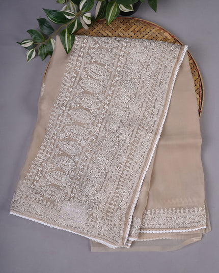 Soft Tissue Organza Silk with Kantha Work Lace Border - Dust