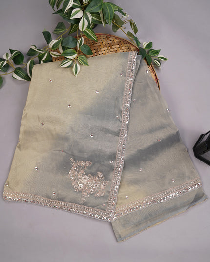 Tissue Georgette Allover Sequence work with Zardozi Border