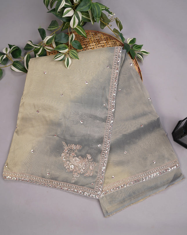 Tissue Georgette Allover Sequence work with Zardozi Border