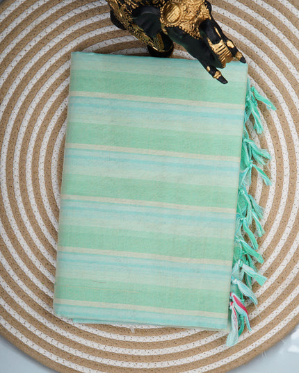 Cotton Handloom Saree with striped border  - Aqua Green