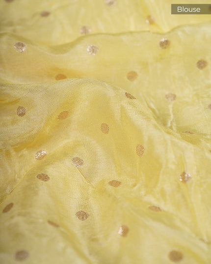 Russian Crepe with Kardhana Sequence Butties and Banaras Border Yellow