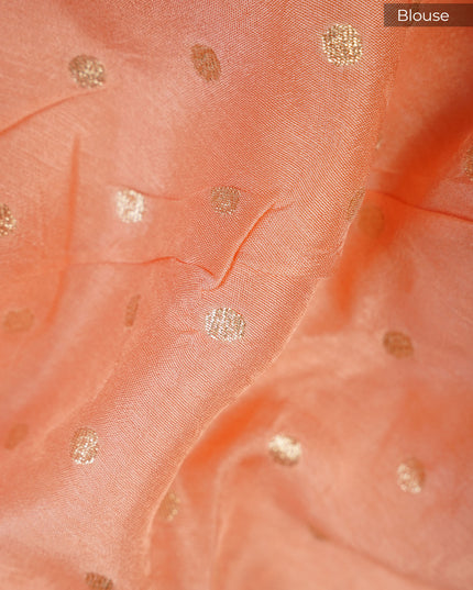 Russian Crepe with Zardozi Butties and Banaras Border- Peach