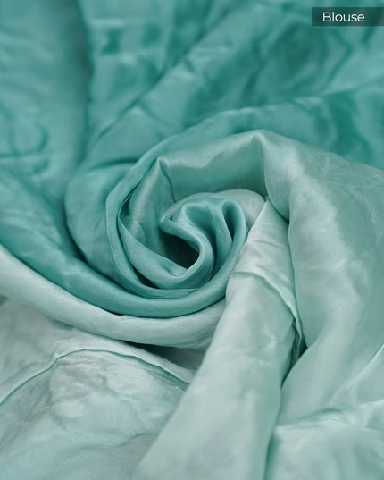 Russian Silk Shibori Saree Applique & Zardosi work  and Scallop Border with Sequence Work