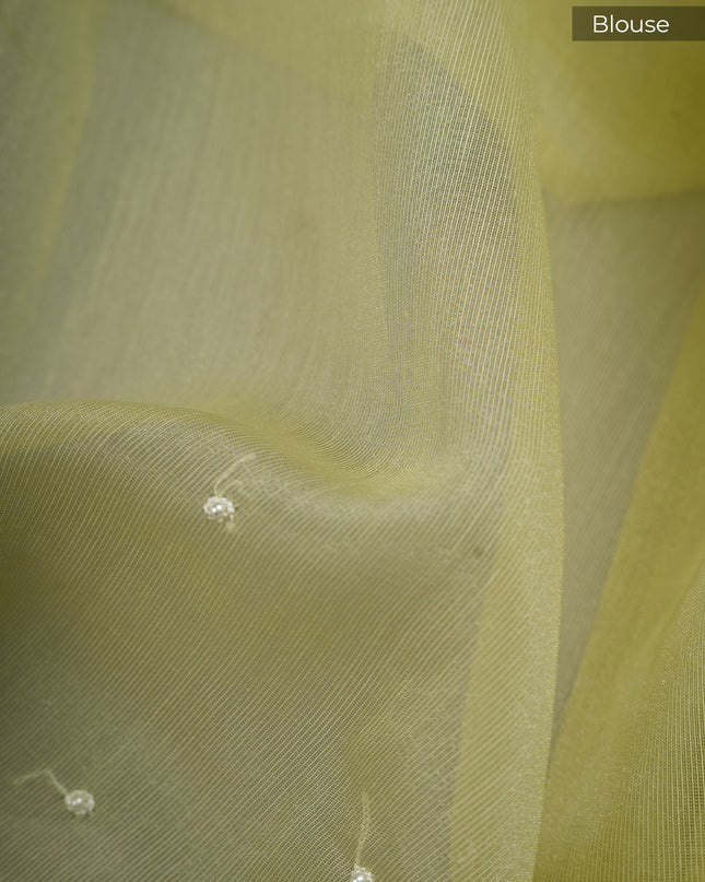 Tissue Linen Saree and Scallop Border and Peral Work - Pista Green
