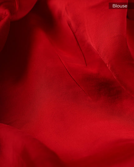 Banaras Silk With Golden Border - Red