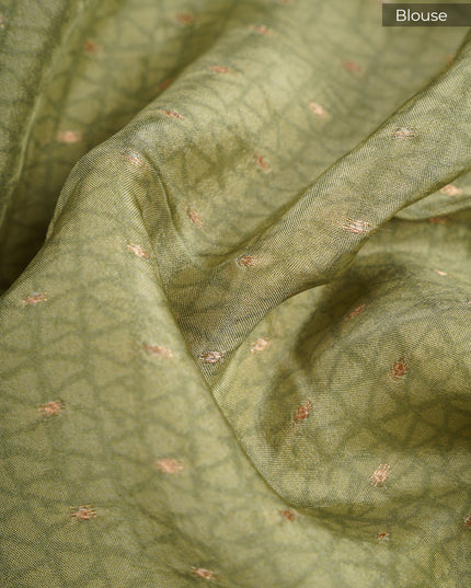 Tissue Georgette Saree With Kalamkari Digital Print & Banaras Border - Pista green