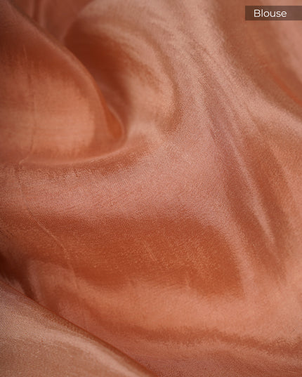 Tissue Banarasi Silk with All Over Self Weaving with Light Gold Zari Border - Peach