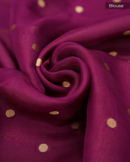 Soft Organza Silk with Gold & Silver Zari Floral Weaving Buties with Satin Border