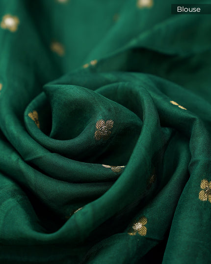 Chinon Silk with Multicolored Zari border & Kutch Work Circles