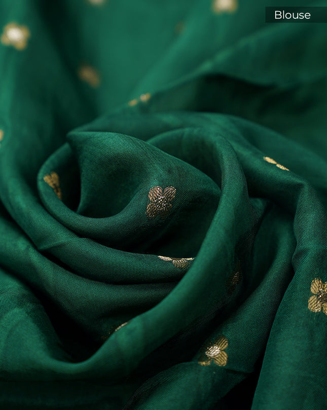 Chinon Silk with Multicolored Zari border & Kutch Work Circles