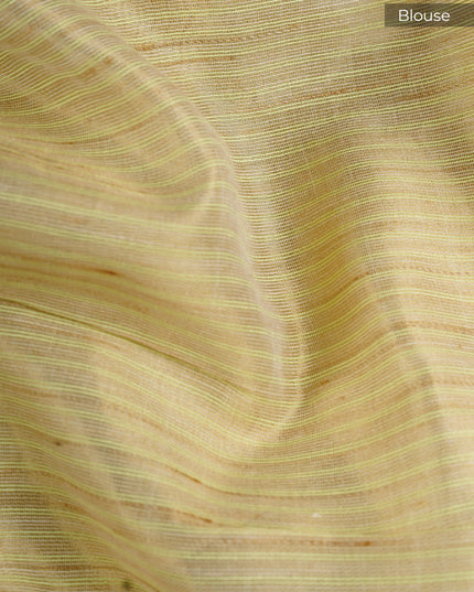 Tissue Linen Saree With  Floral Embroidery & Sequins Work - Light Green