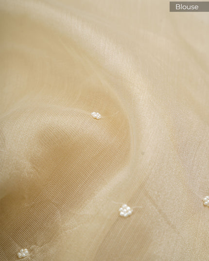 Tissue Linen Saree and Scallop Border and Peral Work - Beige