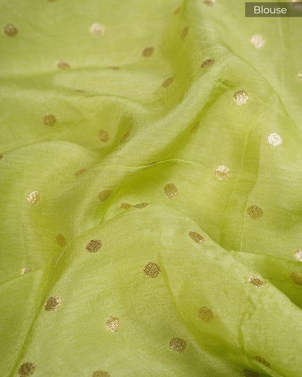 Russian Crepe with Zardozi Butties and Banaras Border- Pista Green