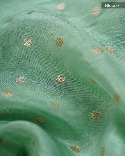 Russian Crape with Embroidery Buttis Banaras Border - Sea Green