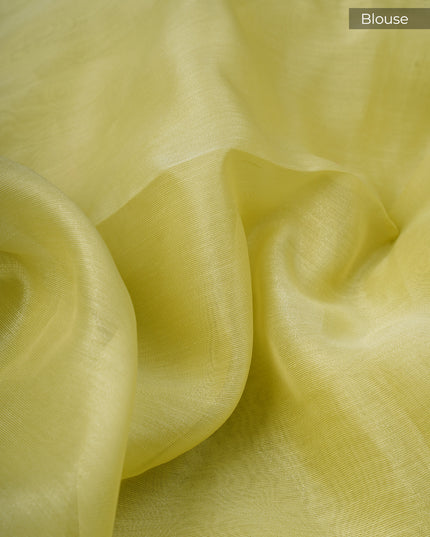 Tissue Linen Saree With Thread Knot Work Butties With Scallop Border - P Green