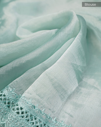 Soft Tissue Organza Silk with All Over Embroidery with Cut Work Border