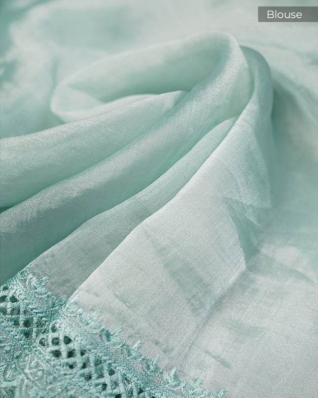 Soft Tissue Organza Silk with All Over Embroidery with Cut Work Border