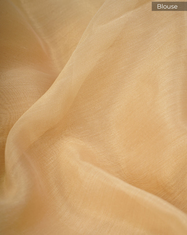 Tissue Linen Saree With Applique Work And Scallop Border - Beige