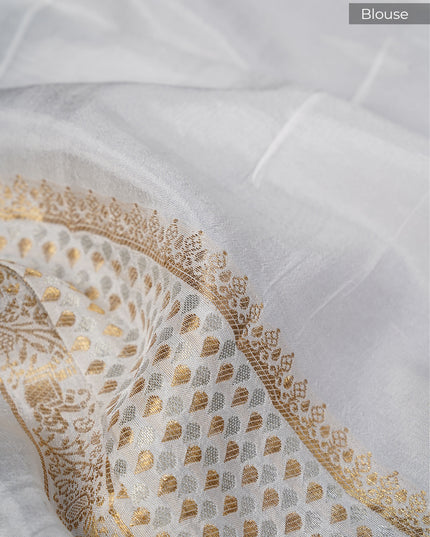 Dola Silk Saree with Golden Butties and Contrast Border- Black