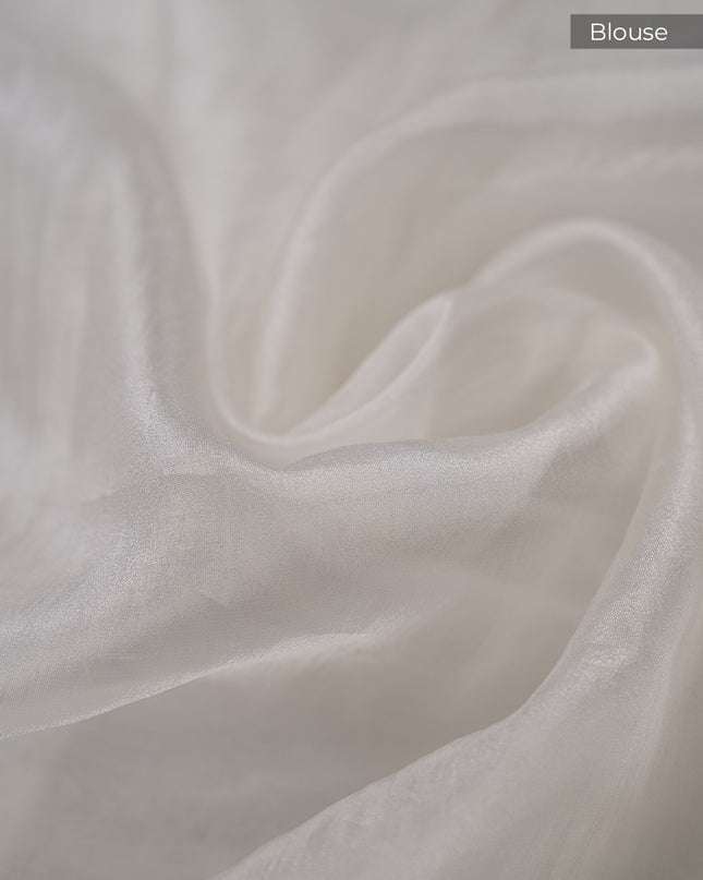 Soft Tissue Organza Silk with Multicolor Thread Embroidery Border