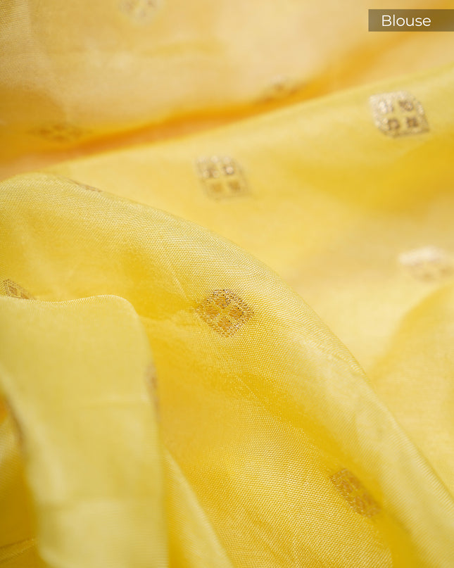 Russian Crepe with Embroidery Butties and Banaras Border