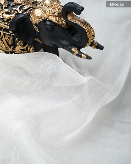 Soft Tissue Organza Silk With Thread Embroidery Work And Lace Border- Half White