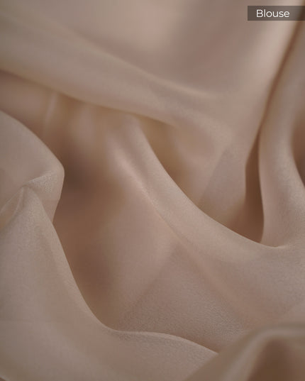 Soft Tissue Organza Silk with Kantha Work Lace Border - Dust