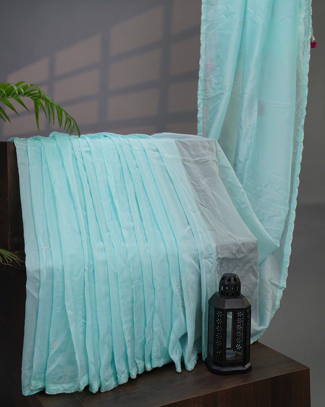 Soft Organza Silk Saree with Applique work and Kardhana Border