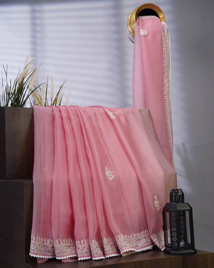 Soft Tissue Organza Silk with Kantha Work Lace Border - Pink