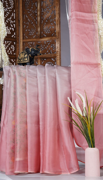 Soft organza saree with embroidered parrot motifs - Peach