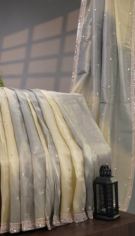 Tissue Georgette Allover Sequence work with Zardozi Border