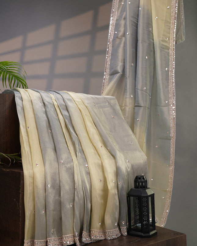 Tissue Georgette Allover Sequence work with Zardozi Border