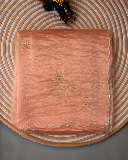 Soft  Tissue Orznga  Saree With Ari work and scallop Border- light Peach