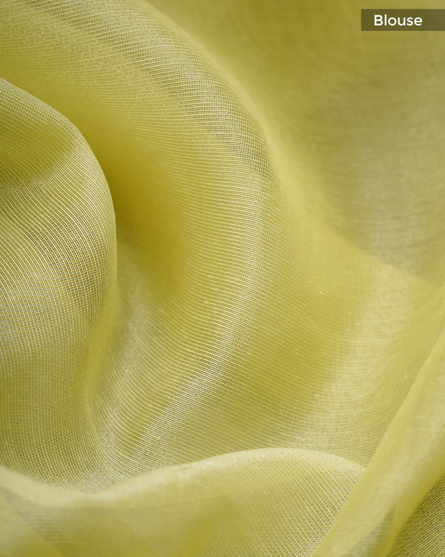 Linen Tissue Saree With Applique Work And Scallop Border - Pista Green