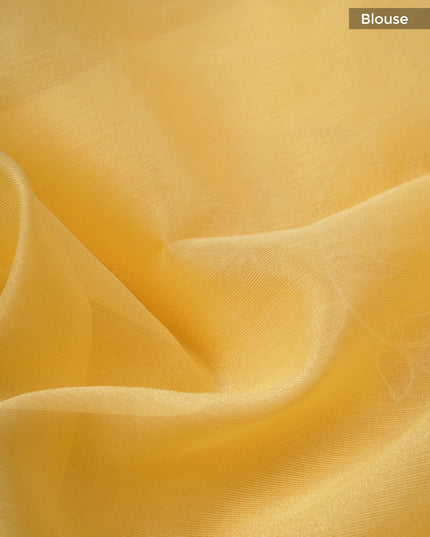 Linen Tissue Saree With Applique Work And Scallop Border - Light Yellow