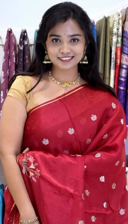 Manipuri kota  Golden Zari weaving Buttis  with Banaras Border - Red