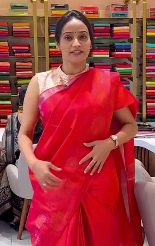 soft silk saree with gold zari floral medallions and gold zari weaving border-red