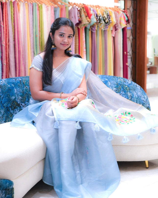 Soft organza saree with embroidered parrot motifs - Blue